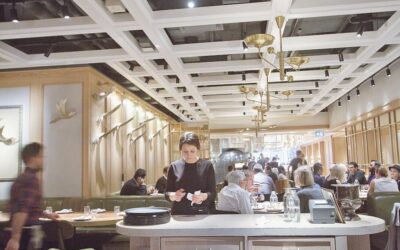 Introducing the new All-In-One: A Purpose‑Built Device for Squirrel Cloud